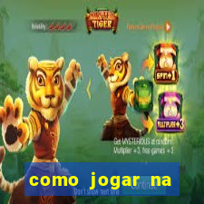 como jogar na teimosinha da lotofacil