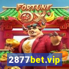 2877bet.vip