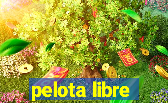 pelota libre