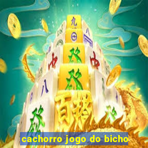 cachorro jogo do bicho