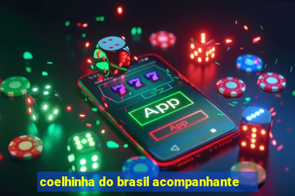 coelhinha do brasil acompanhante