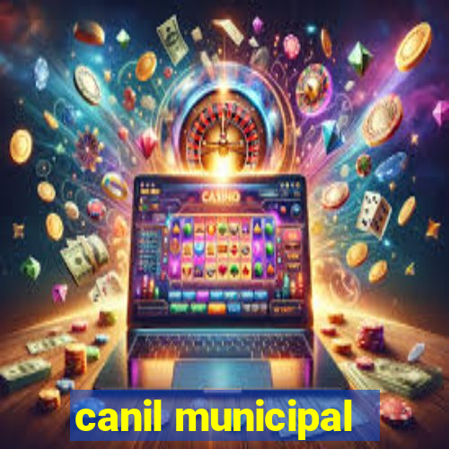 canil municipal